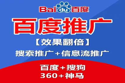 大型SEM服务公司案例分析